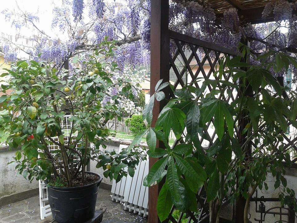 Il Ghiro B&B Рикко-дель-Гольфо-ди-Специя Экстерьер фото