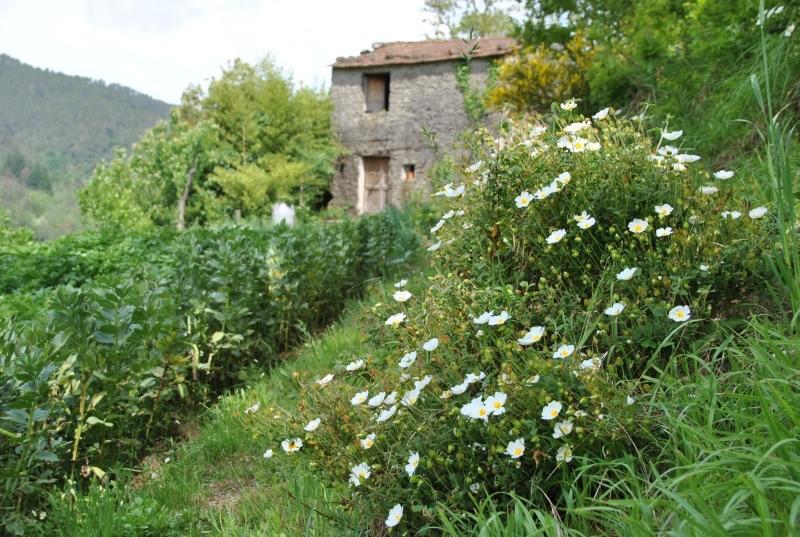 Il Ghiro B&B Рикко-дель-Гольфо-ди-Специя Экстерьер фото