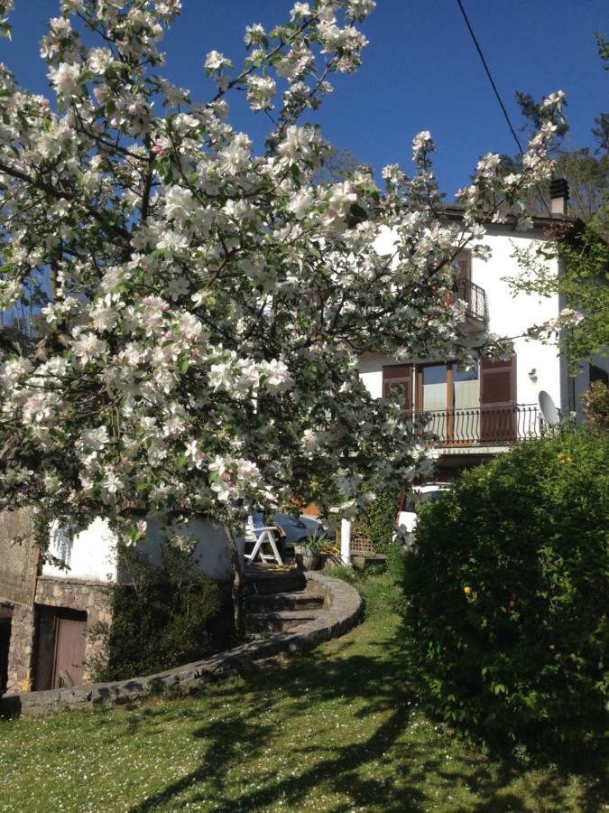 Il Ghiro B&B Рикко-дель-Гольфо-ди-Специя Экстерьер фото